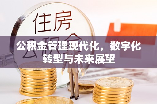 沽源公积金管理现代化，数字化转型与未来展望