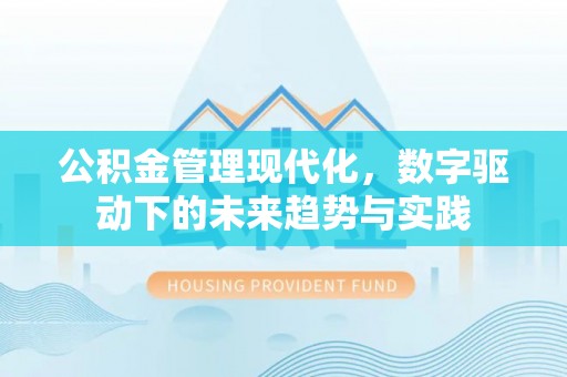 沽源公积金管理现代化，数字驱动下的未来趋势与实践