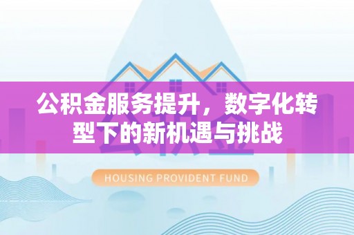 沽源公积金服务提升，数字化转型下的新机遇与挑战
