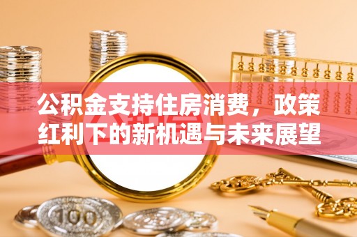 沽源公积金支持住房消费，政策红利下的新机遇与未来展望