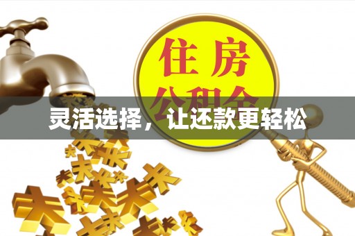 沽源灵活选择，让还款更轻松