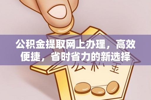 沽源公积金提取网上办理，高效便捷，省时省力的新选择