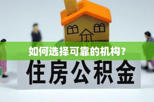 沽源如何选择可靠的机构？