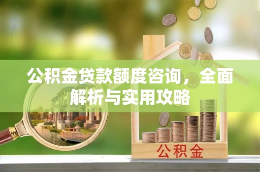 沽源公积金贷款额度咨询，全面解析与实用攻略