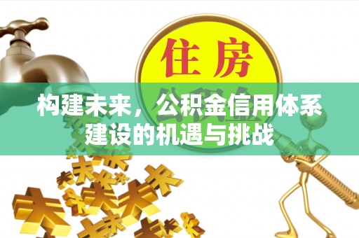沽源构建未来，公积金信用体系建设的机遇与挑战
