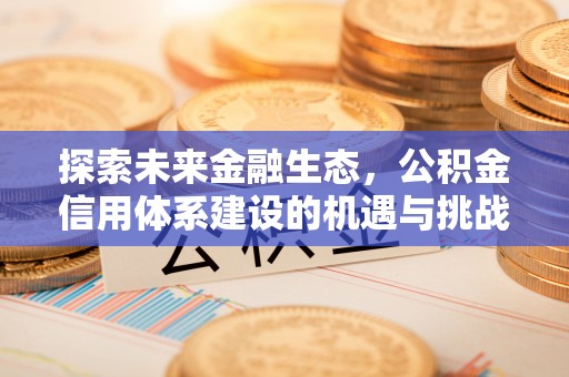 沽源探索未来金融生态，公积金信用体系建设的机遇与挑战
