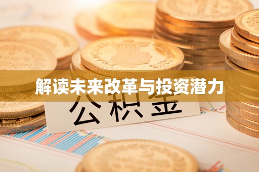 沽源解读未来改革与投资潜力