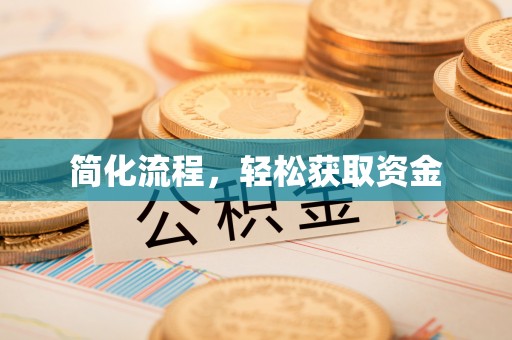 沽源简化流程，轻松获取资金