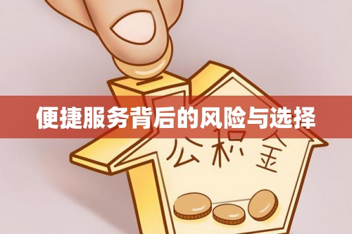 沽源便捷服务背后的风险与选择