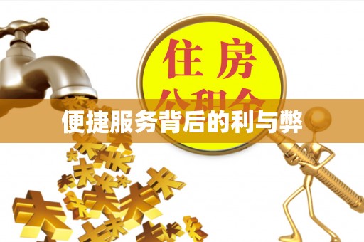 沽源便捷服务背后的利与弊