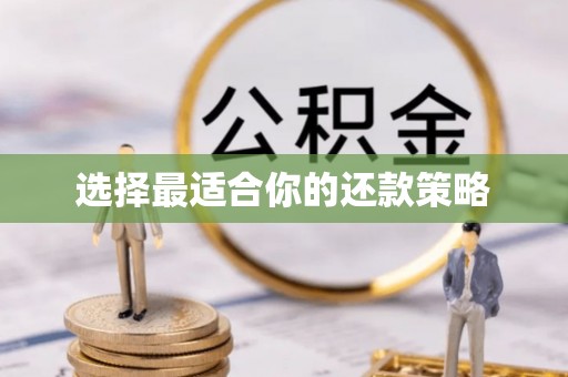 沽源选择最适合你的还款策略