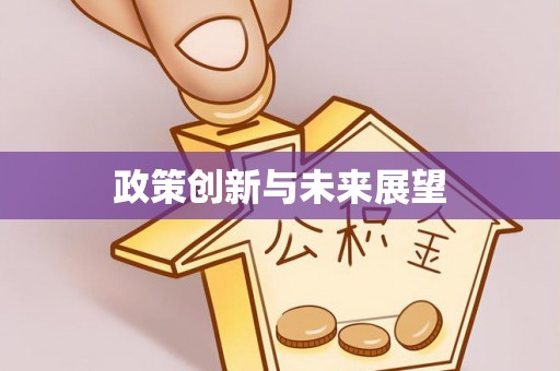 沽源政策创新与未来展望