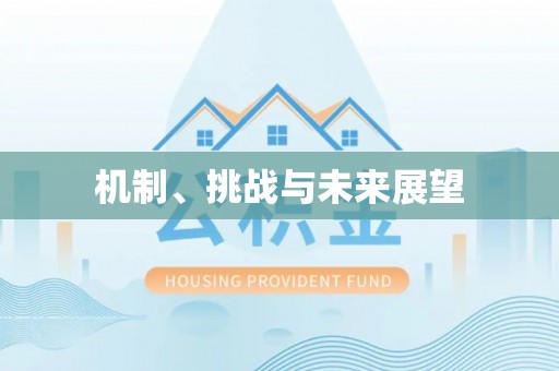 沽源机制、挑战与未来展望