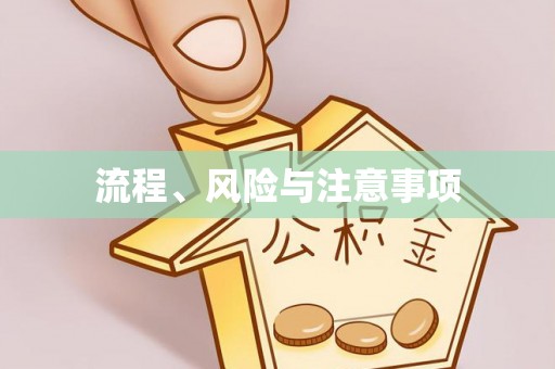沽源流程、风险与注意事项