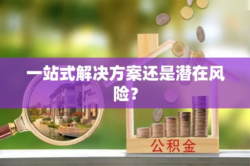 沽源一站式解决方案还是潜在风险？