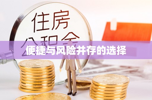 沽源便捷与风险并存的选择