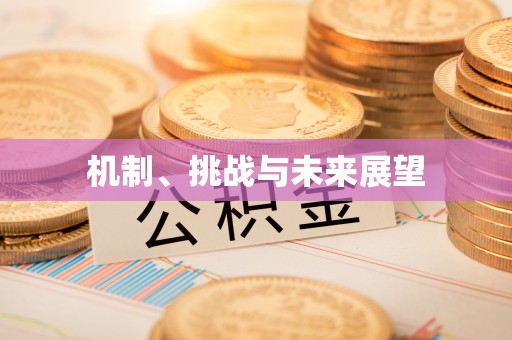 沽源机制、挑战与未来展望